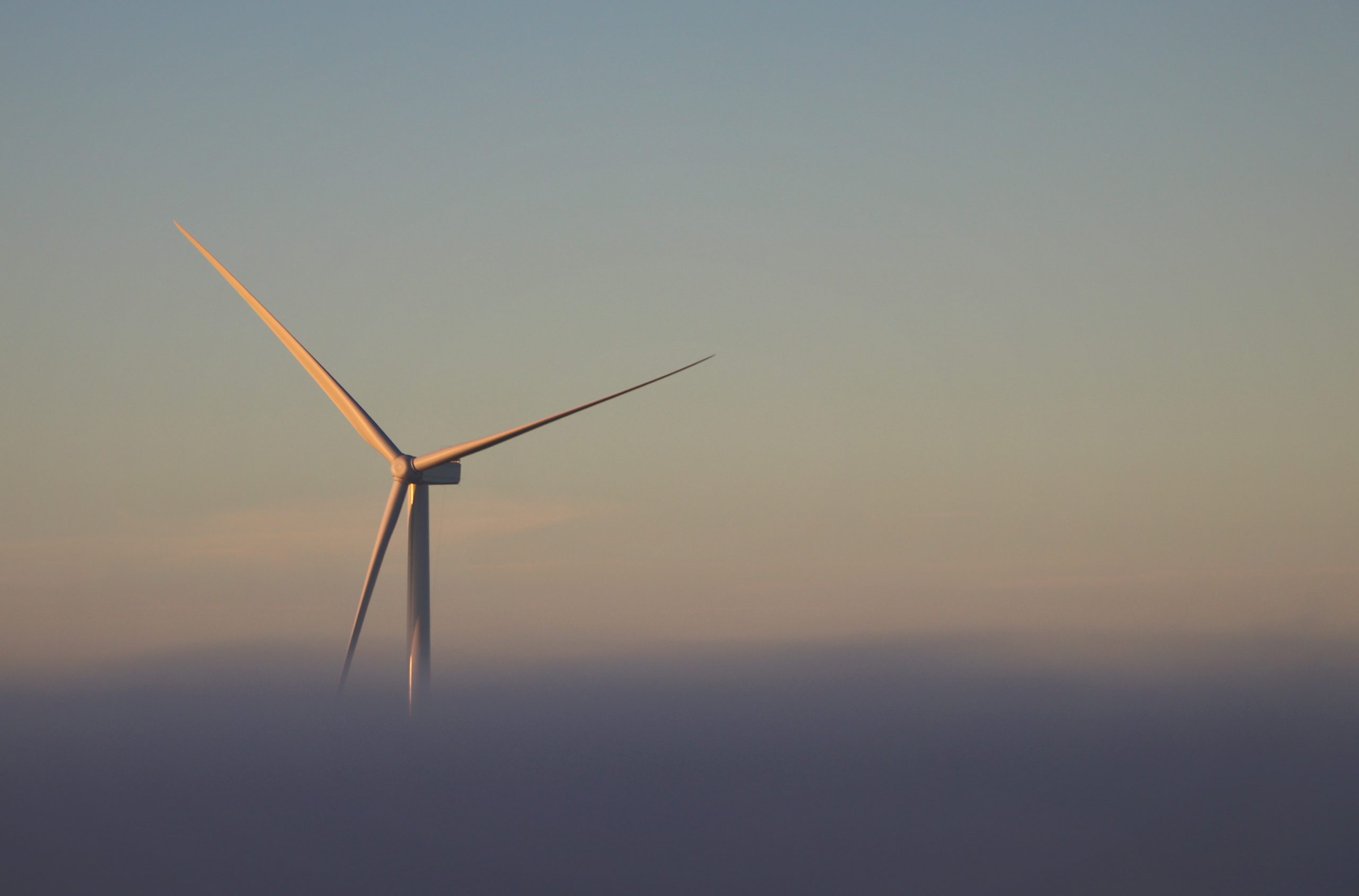 Accompagnement en phase de développement de projets éoliens
