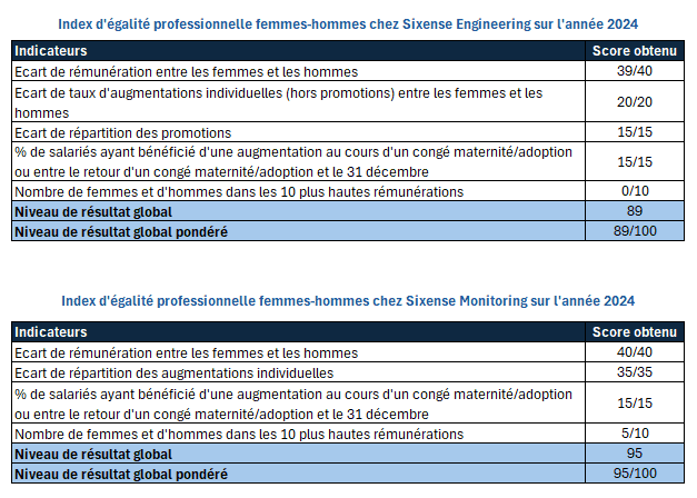 Tableau index égalité professionnelle 2024 Sixense