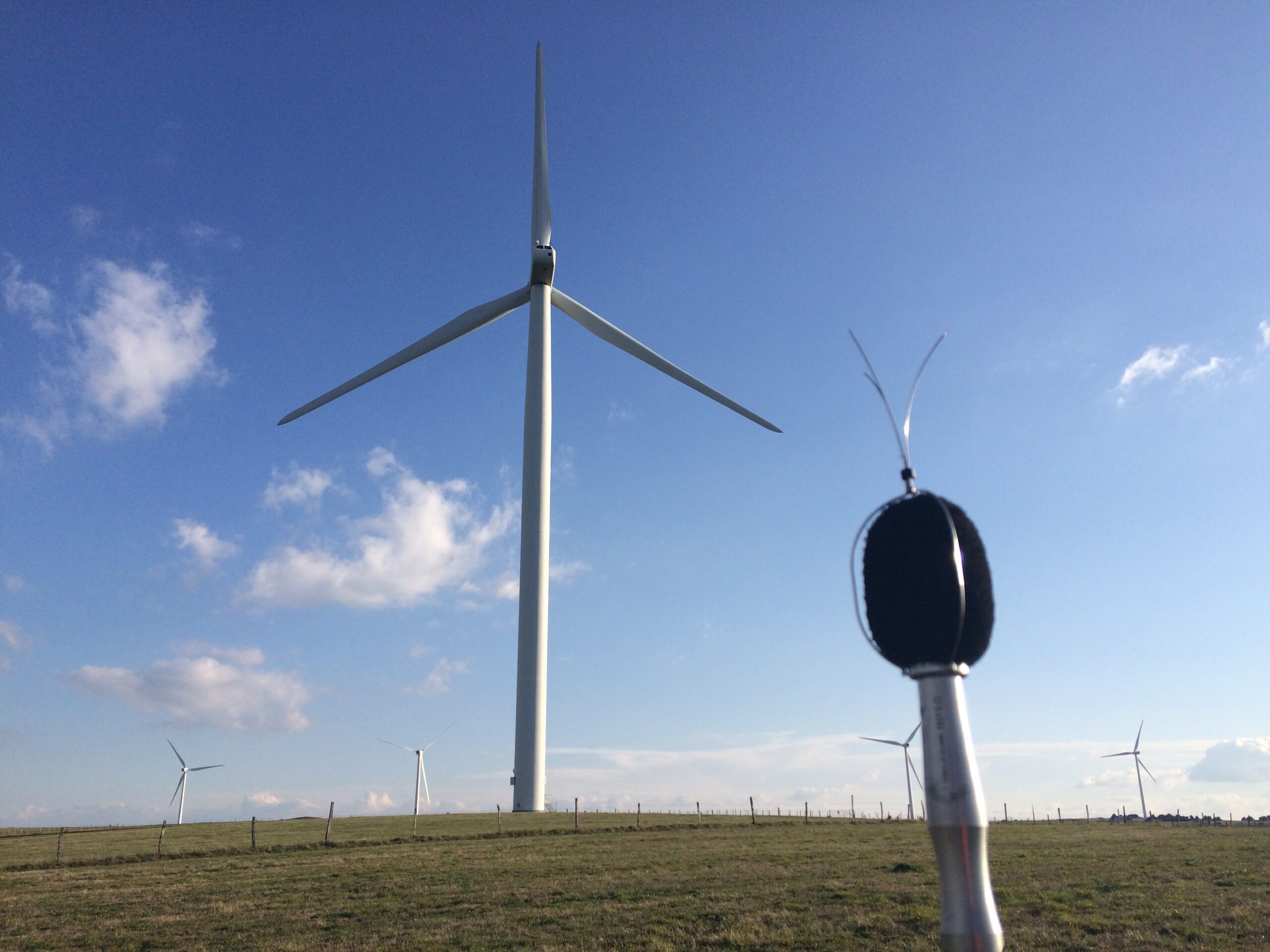 News image description