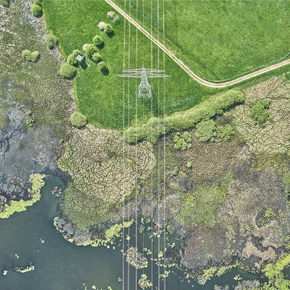 News image description