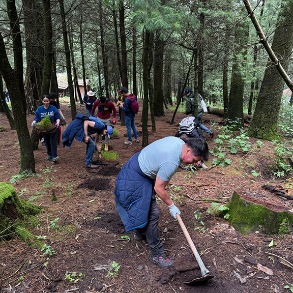 News image description