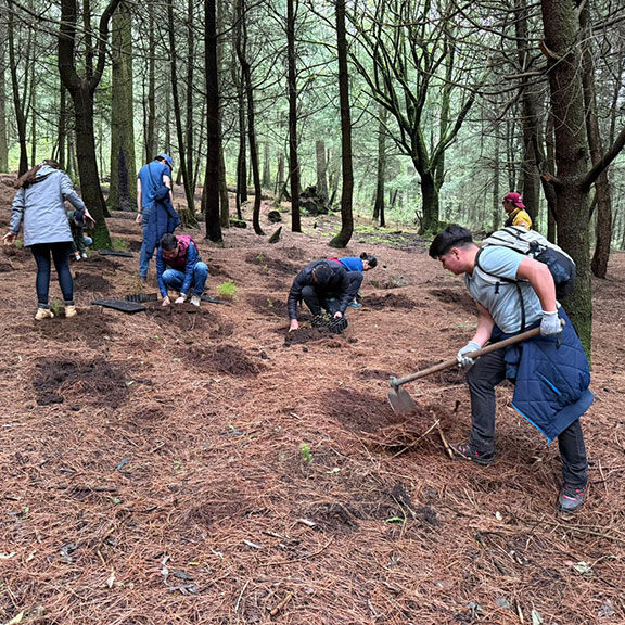 News image description